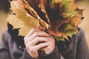 HVAC Tips for the Fall Season